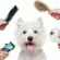 perfect puppy haircut
