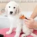 essential dog ear cleaning tips