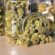 Buy Online in Canada