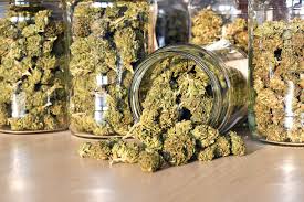 Buy Online in Canada