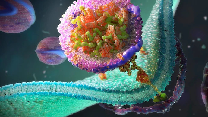 Life Science Membrane Technology Market 