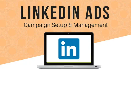 LinkedIn ads management