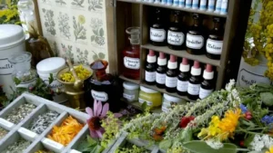 How to Choose the Right Herb Shop for You