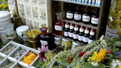 How to Choose the Right Herb Shop for You