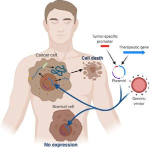 Cancer Gene Therapy Market
