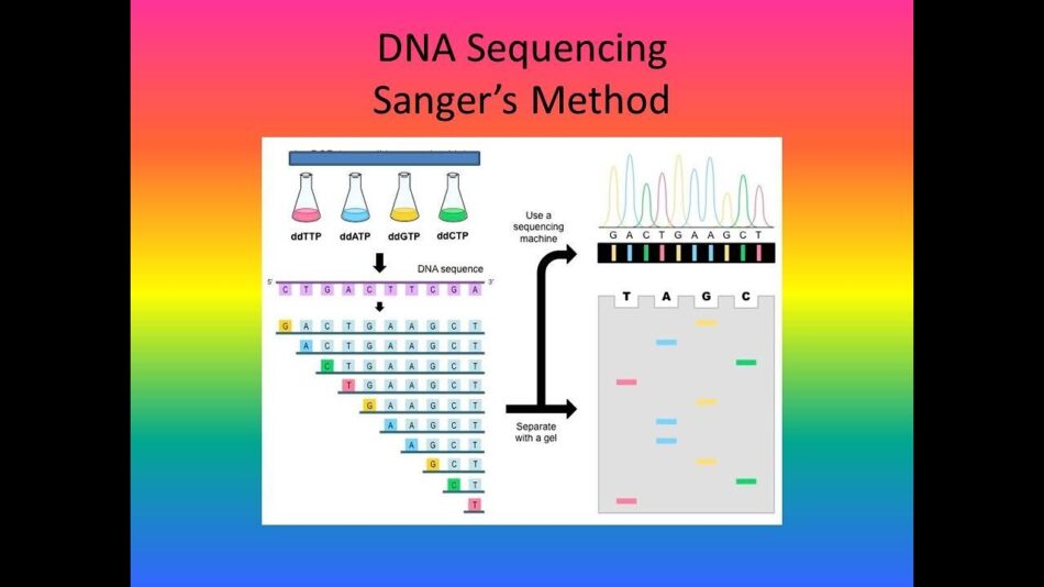 DNA sequencing market