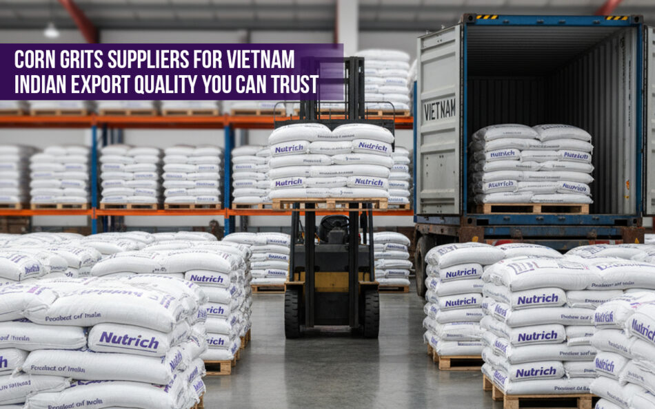 Corn Grits Suppliers