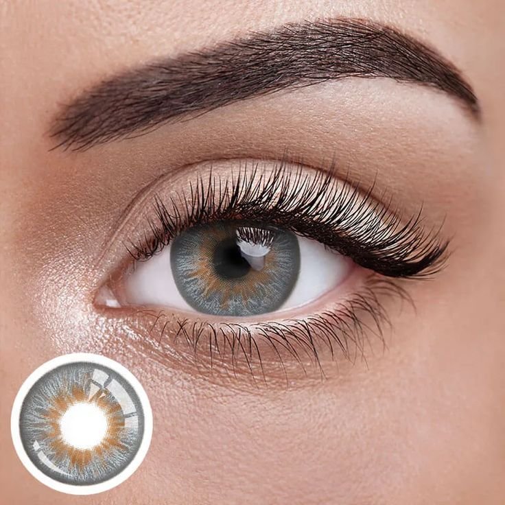 freshlook contact lenses
