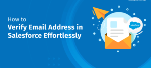 Salesforce Email Verification