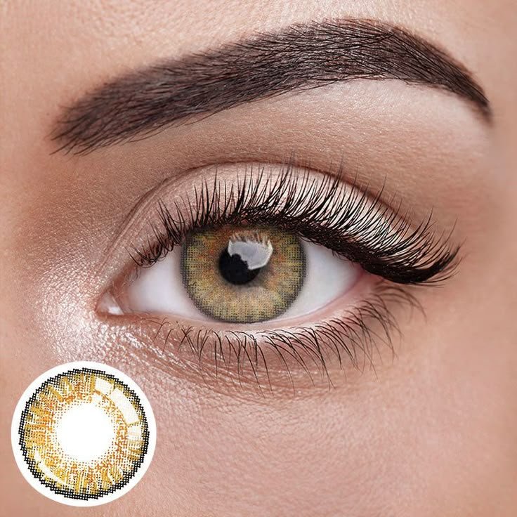 freshlook contact lenses