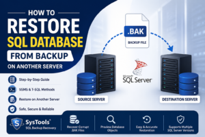 How to restore SQL database from backup on another server