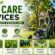 Lawn Care Services: Complete Guide to a Healthy and Beautiful Lawn