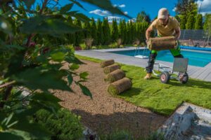 lawn care service in denver co