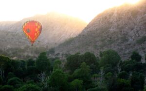 SkyWaltz Balloon Safari Benefits For Travelers