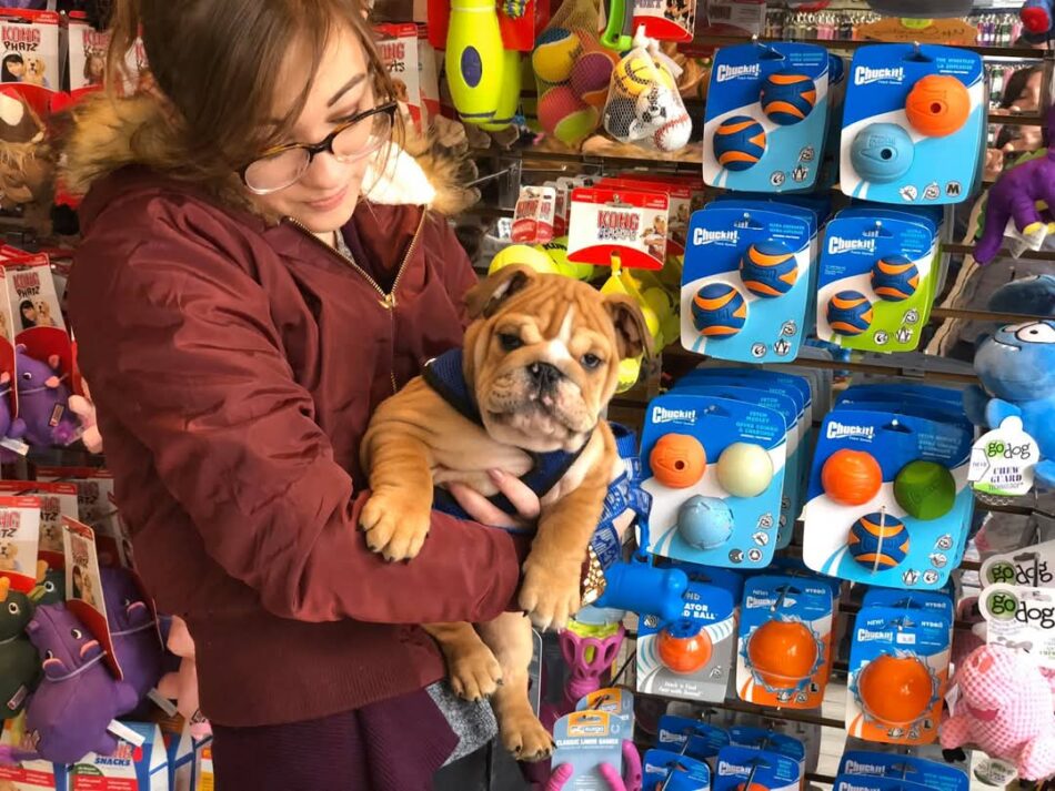 Dog Food Liquidation