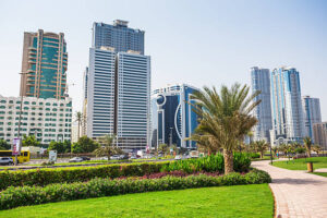 Feasibility Study Services