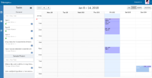 chauffeur software