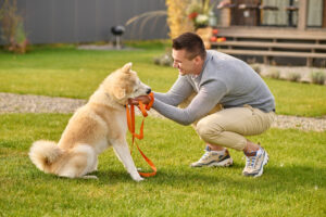 Dog Training Baltimore MD