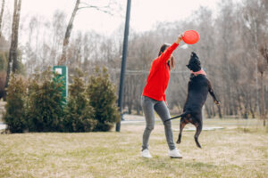Dog Training Pittsburgh PA