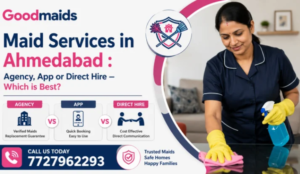 Domestic Help in India