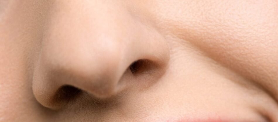 What is closed Rhinoplasty