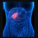 gallbladder specialist singapore