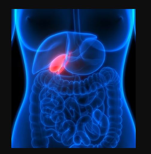 gallbladder specialist singapore