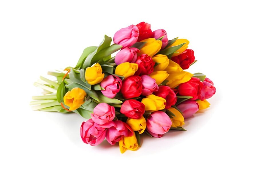 tulip flower bouquet