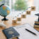 Apply for a Student Visa