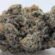 Buy cheap bulk weed canada