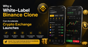 binance clone script