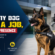 A Security Dog Needs a Job, Not Just a Presence