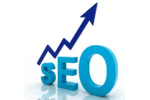 Seo Services in Mississauga