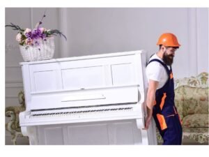 pinao removalist