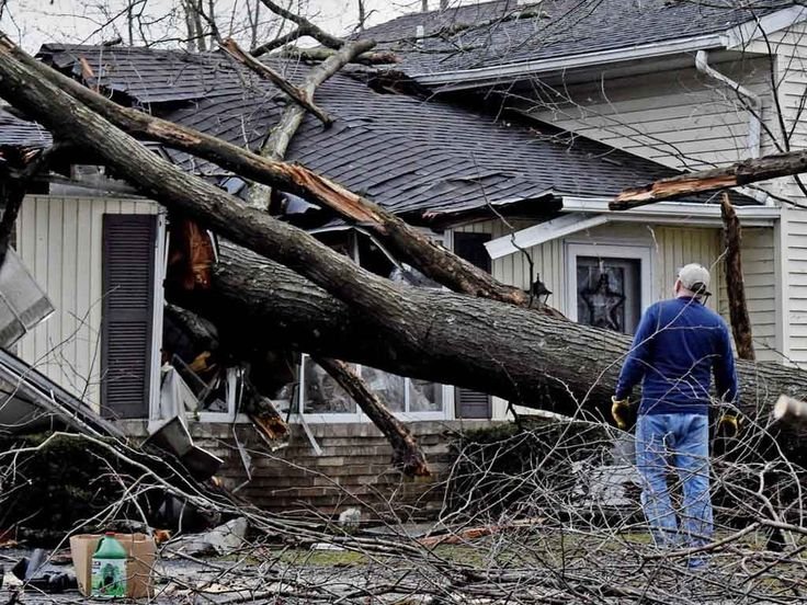 Emergency Storm Cleanup