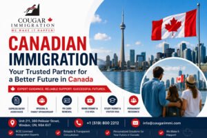 Immigration Lawyer Windsor