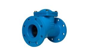 Ball Type Check Valves