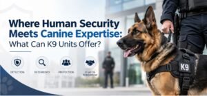 Where Human Security Meets Canine Expertise: What Can K9 Units Offer?