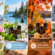 Seasonal Essential Oil Blends for Canadian Climate