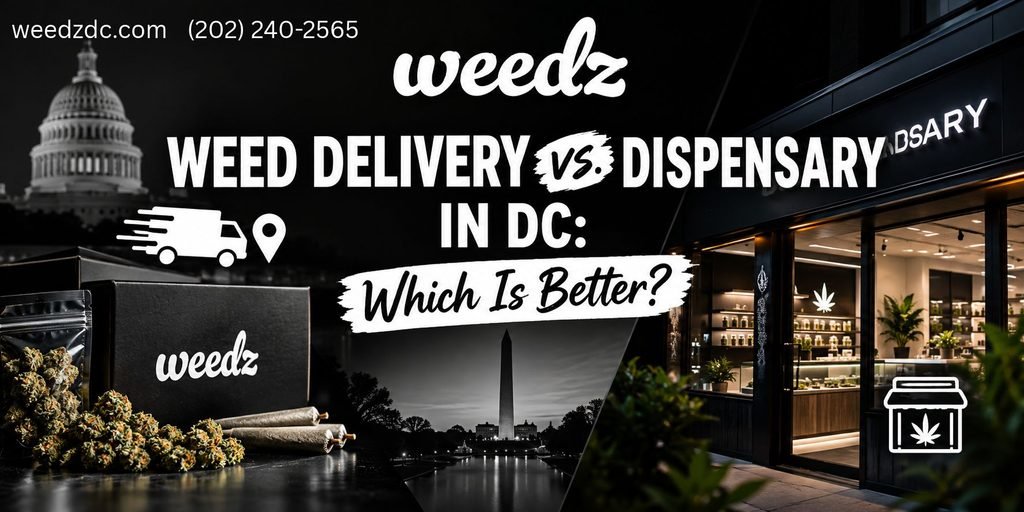 Weed Delivery vs. Dispensary in DC