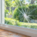 Broken Window Glass Repair Sydney