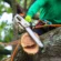 Tree Service