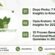 dozo perks opia kratom functional mushroom