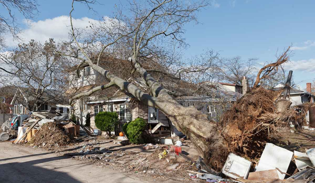 Reliable storm recovery in Salisbury, MO. Get quick property clearing, branch removal, and yard cleanup after mid-Missouri weather strikes.