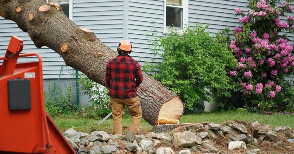 Tree Felling Blackpool