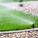 best lawn services in Lubbock