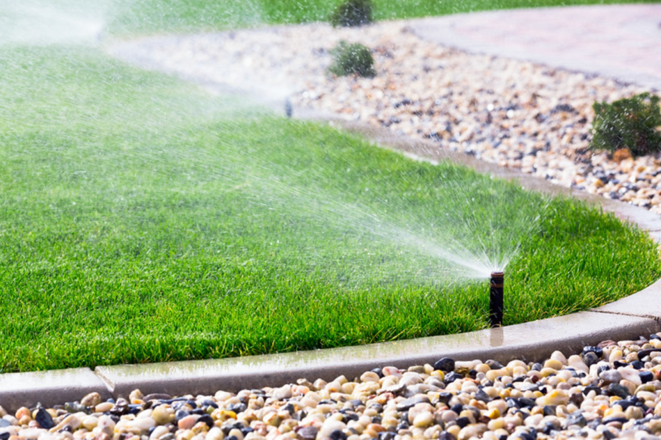 best lawn services in Lubbock