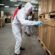 Commercial Pest Control: A Practical Guide for Property Managers
