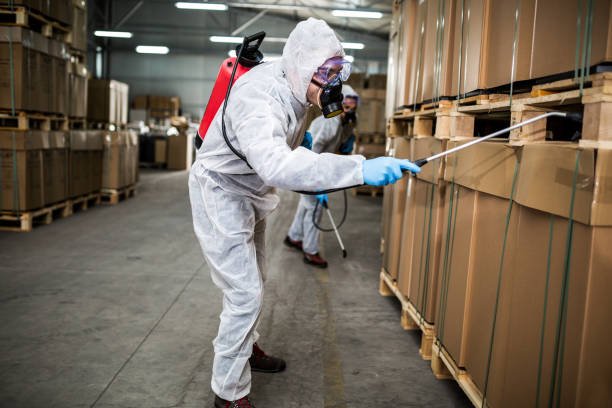 Commercial Pest Control: A Practical Guide for Property Managers