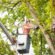 Tree services Blackpool